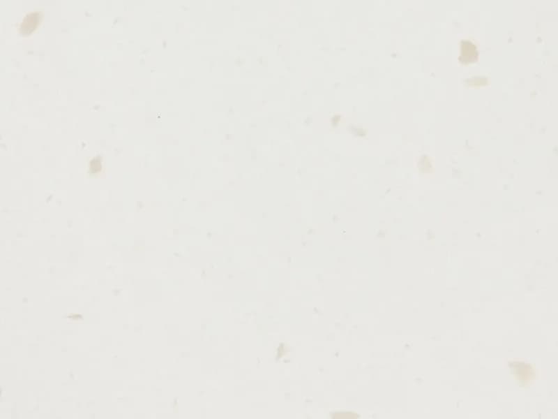 Rice Paper